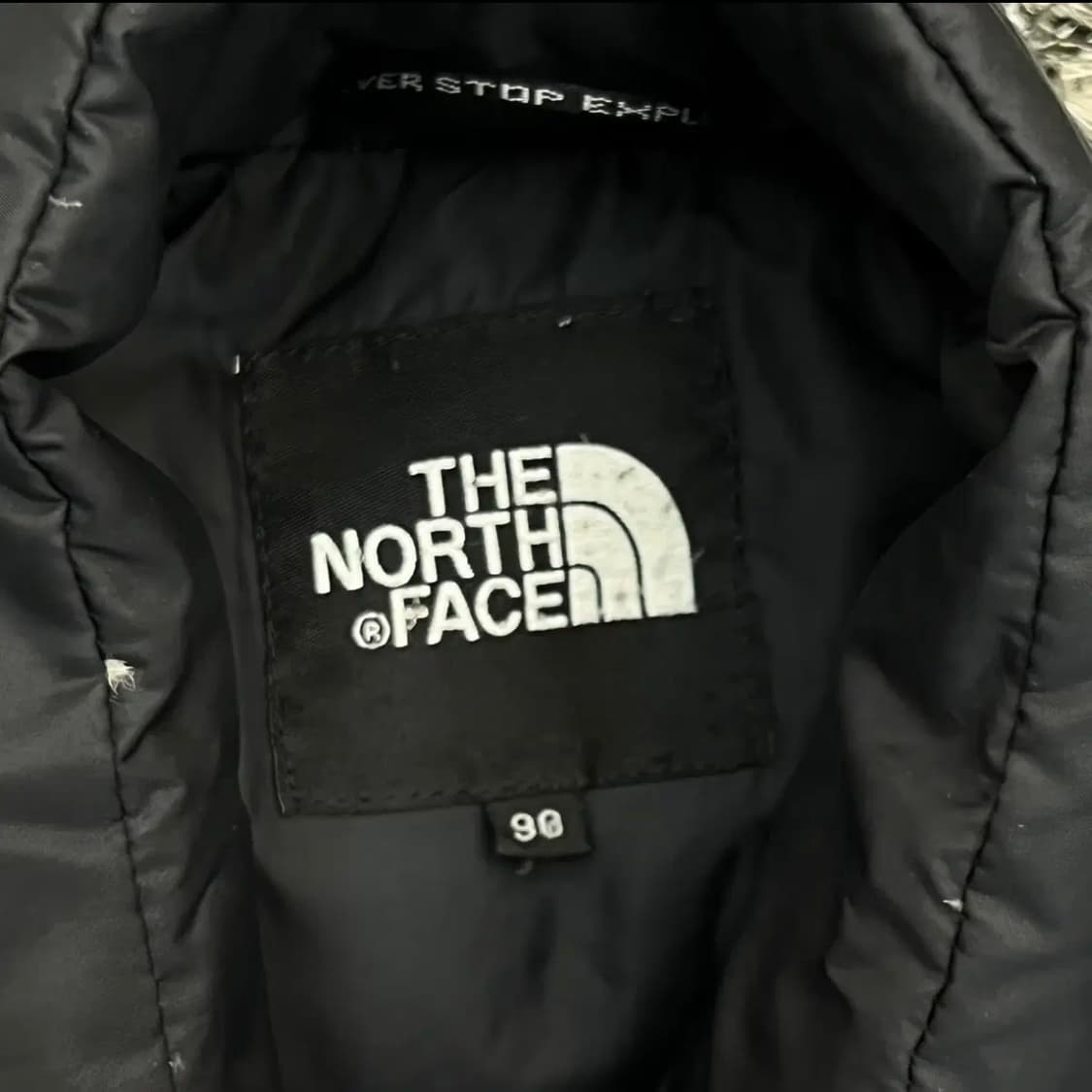 노스페이스 구스다운 패딩 베스트 (90) 상품이미지3