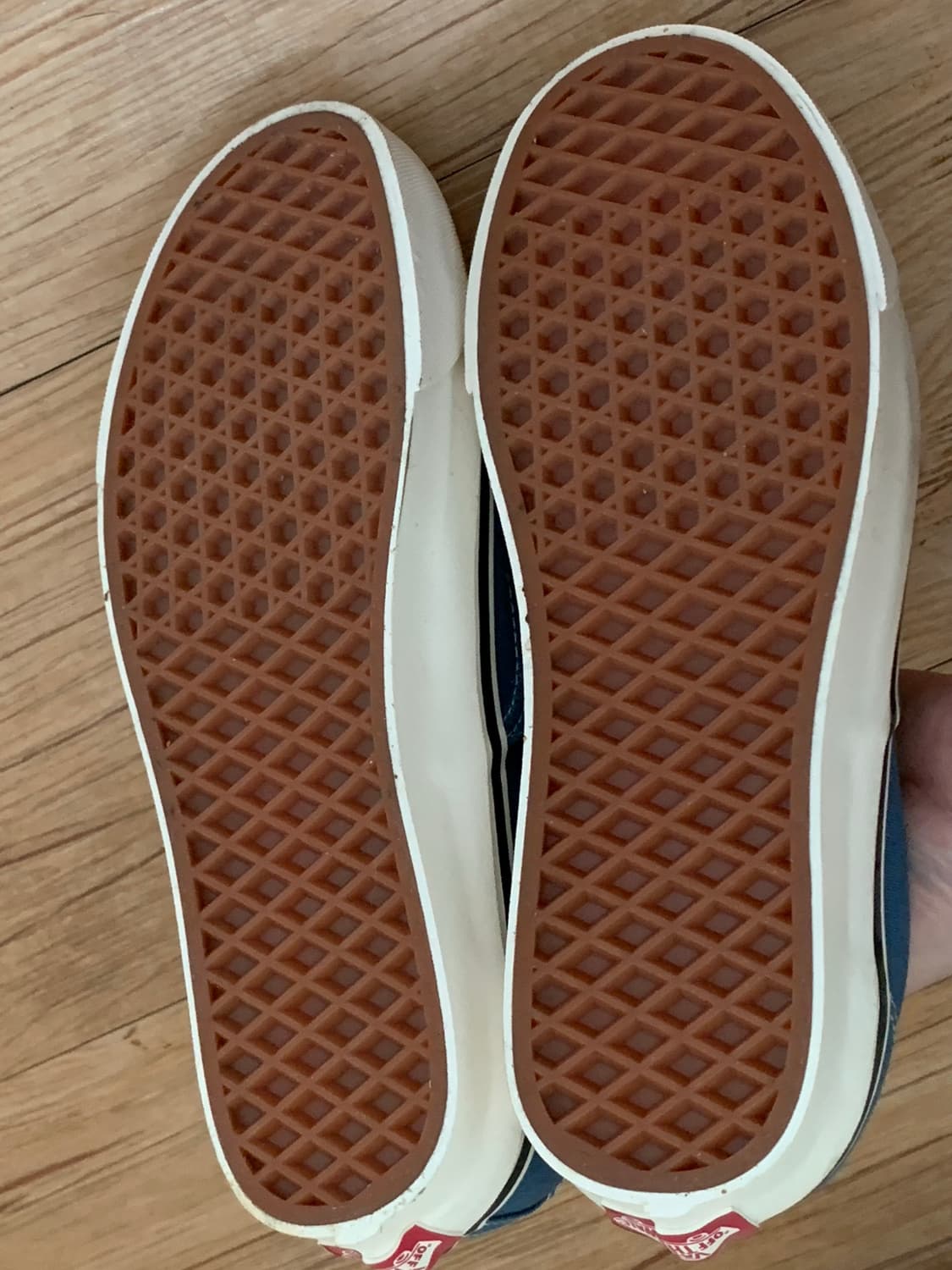 Vans 어센틱 애너하임 상품이미지3