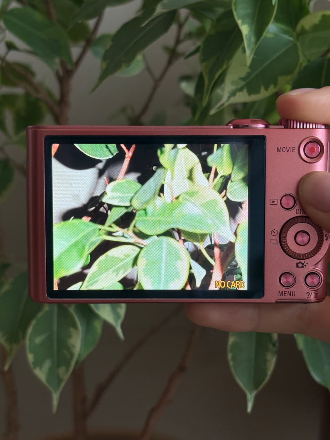 [급전/가격동결] (희귀/경량) 소니 사이버샷 wx350 핑크 상품이미지7