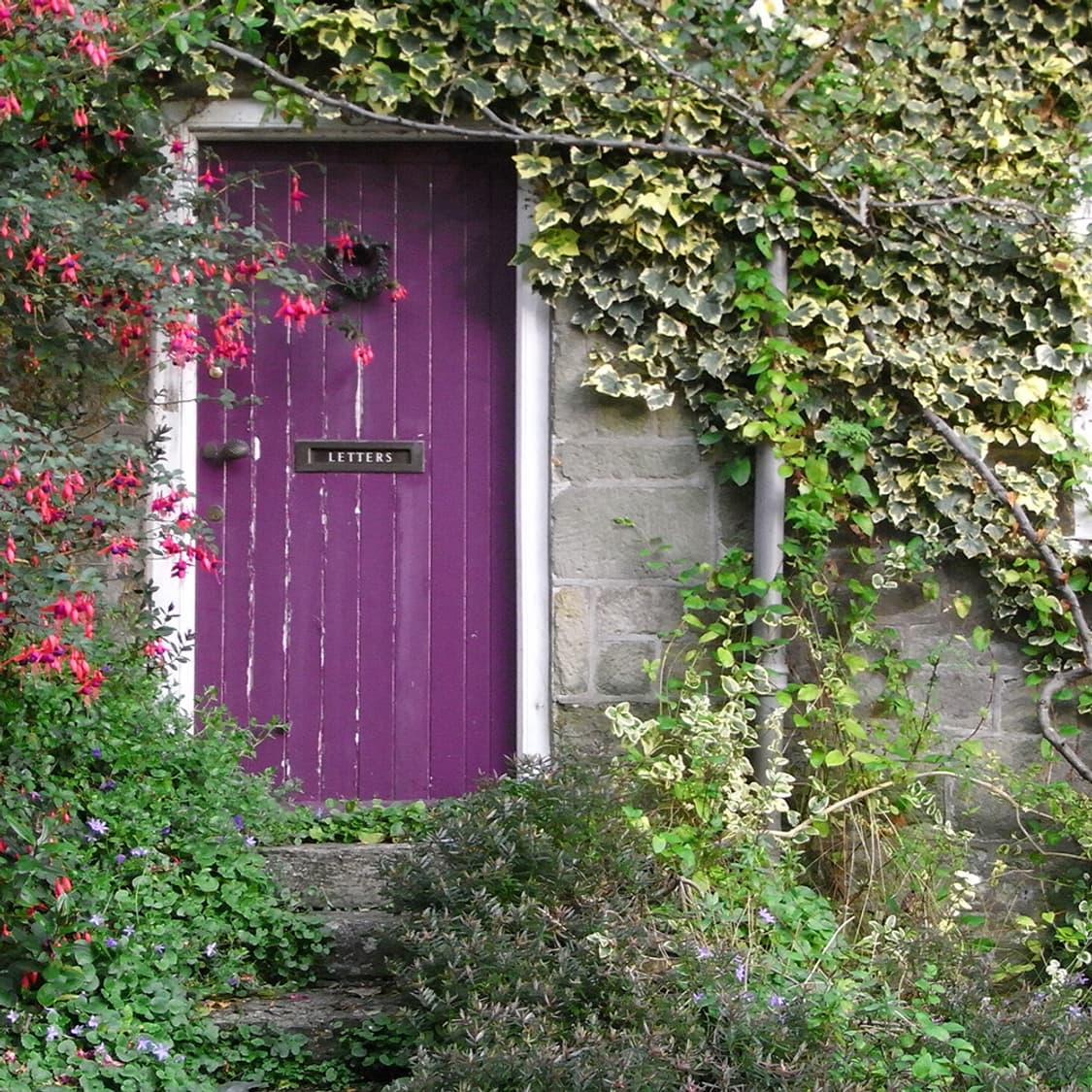 [📸리코감성] RICOH 리코 카프리오 R7 레트로 디지털 카메라 상품이미지9