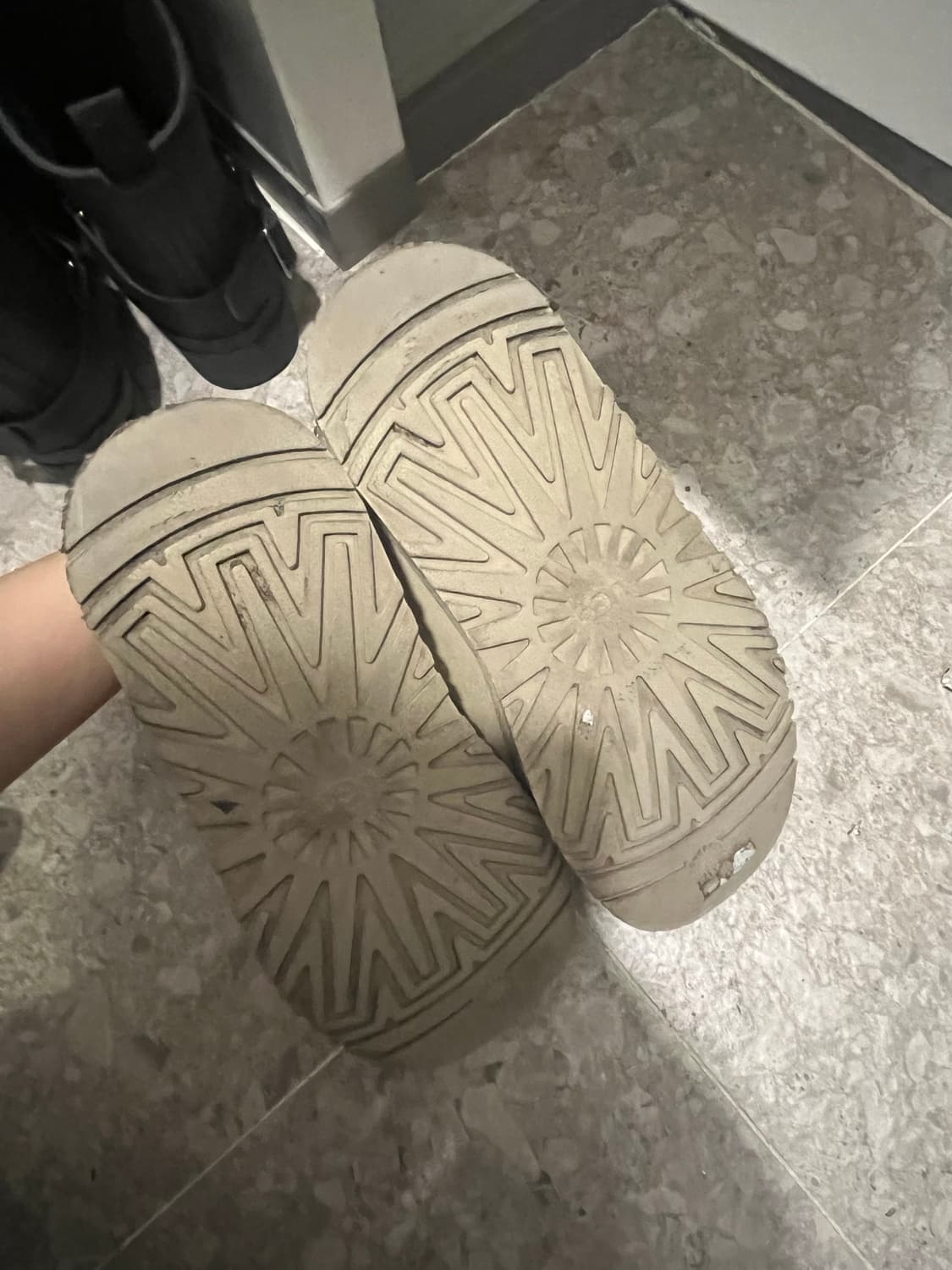 어그 타즈  240 상품이미지5