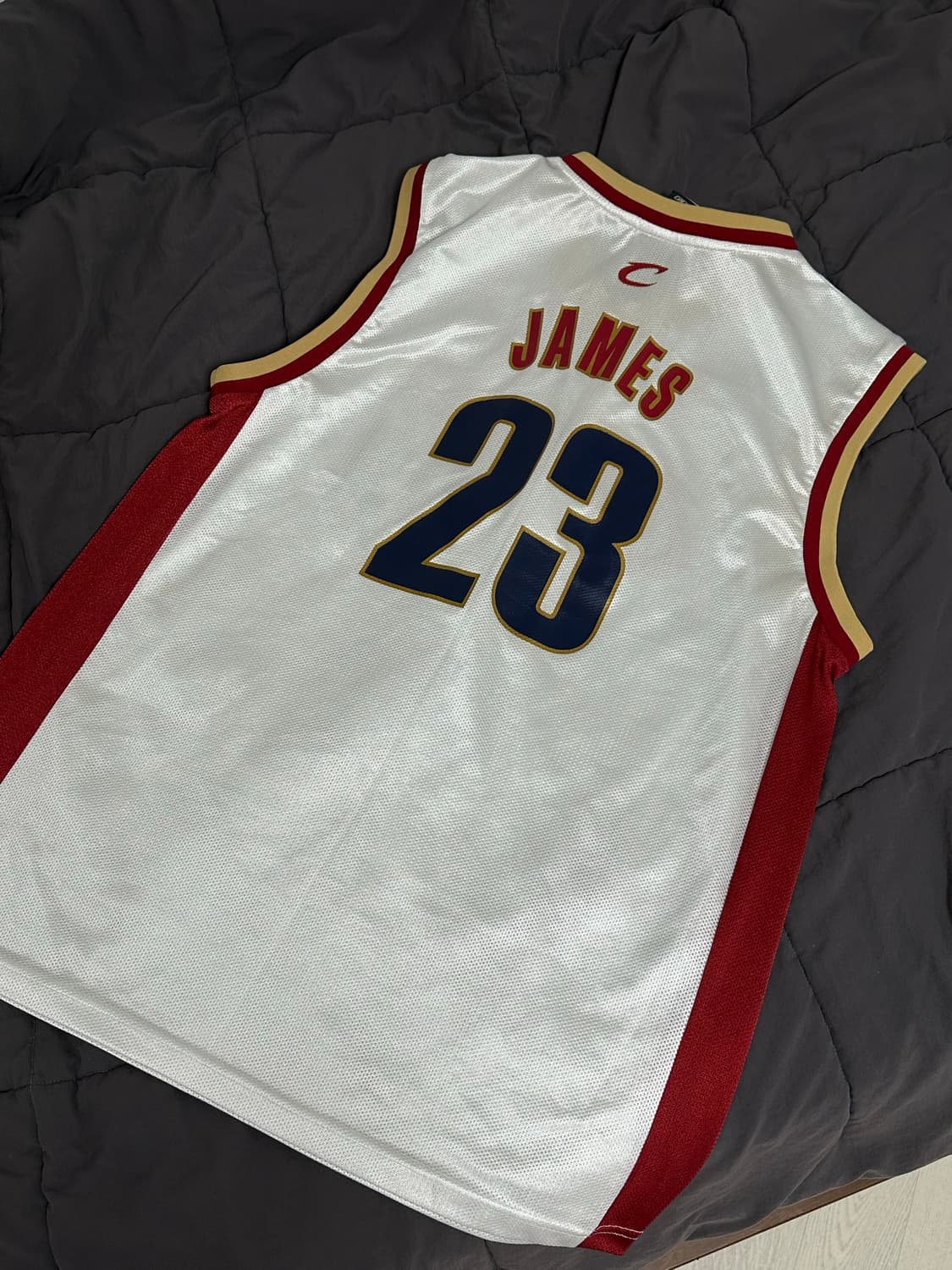 리복 NBA 클리블랜드  르브론 농구 져지 라지  상품이미지2