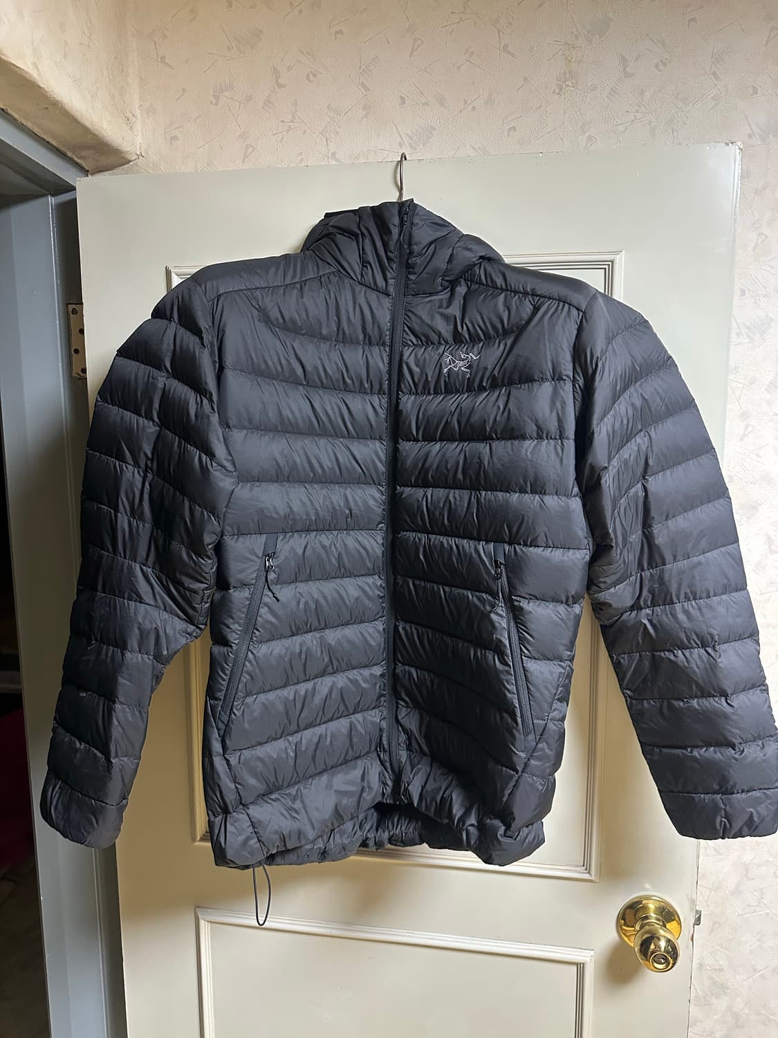 아크테릭스 세륨 후디 블랙 상품이미지1