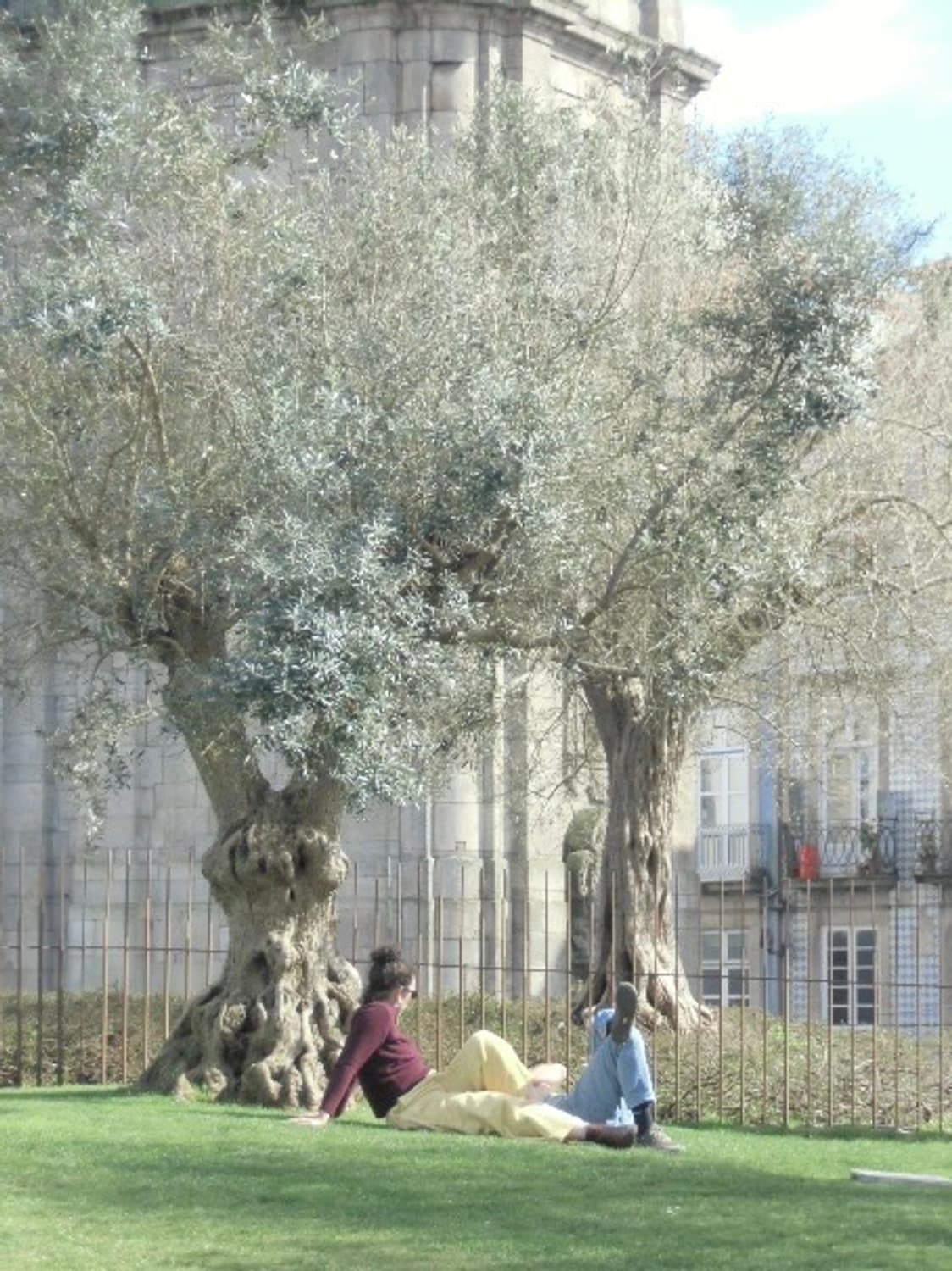 (소프트포커스) 니콘 쿨픽스 s2700 디지털카메라 빈티지디카 상품이미지10