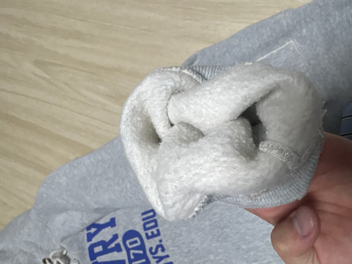 챔피온 리버스위브 기모 후드티 XL 상품이미지5