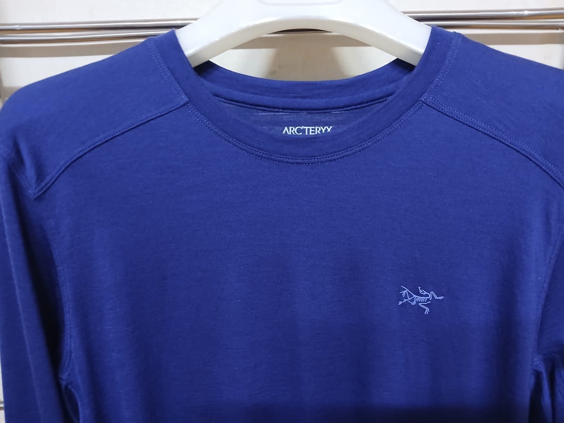 Arc'teryx  Ionia Merino Wool LS - 넬슨 정 상품이미지4