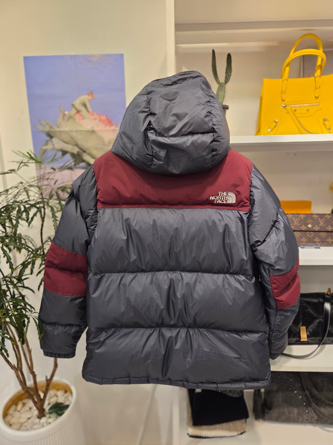 노스페이스 우먼스 윈드 스토퍼 뉴써밋 700 다운패딩 상품이미지9