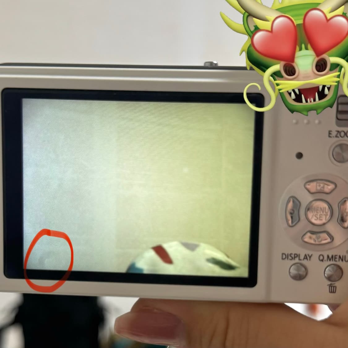 panasonic lumix 파나소닉 루믹스 DMC-ZX1 디카 작례O 상품이미지6