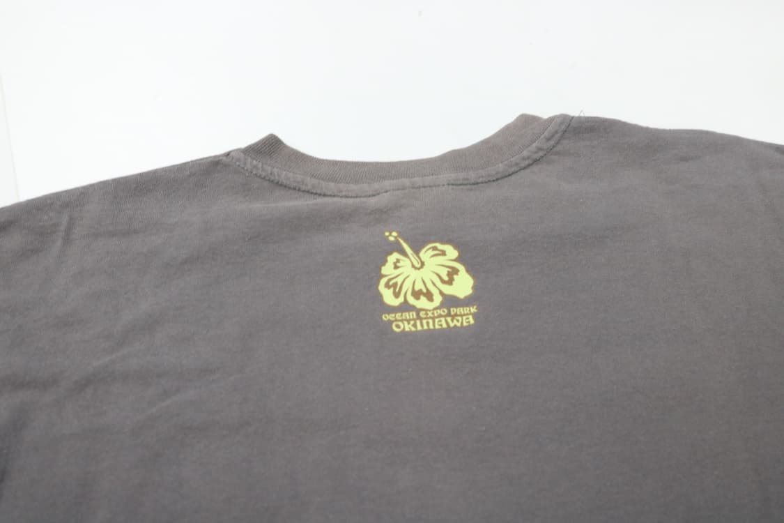 앤빌 anvil 90s 빈티지 오키나와 하이비스커스 그래픽 티셔츠 (M) 상품이미지9
