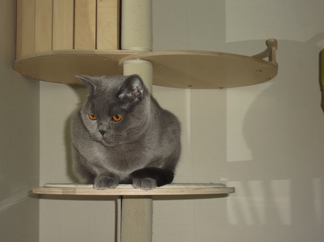 [작례O] 후지필름 FinePix JX550 상품이미지5