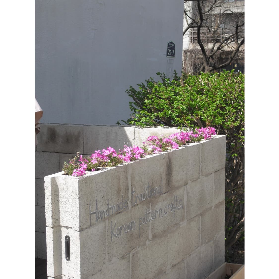 Casio 카시오 엑슬림 exilim EX-S5 디지털 카메라 상품이미지9