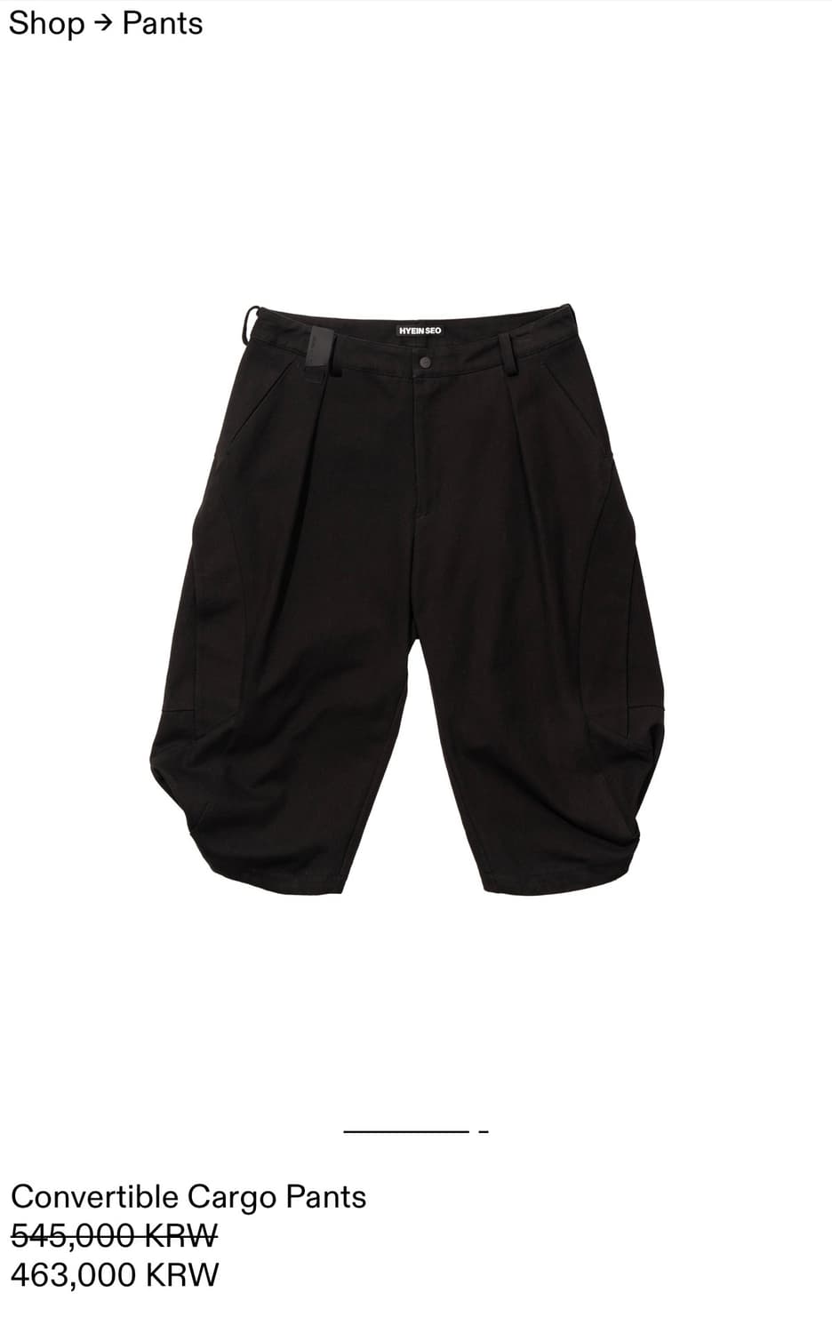 Hyein Seo Convertible Cargo Pants 상품이미지7