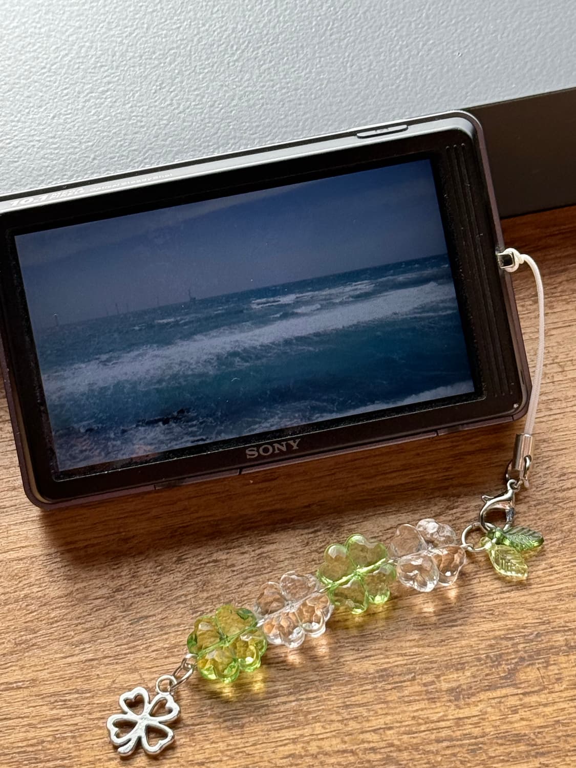 Sony cybershot DSC-T700 상품이미지2