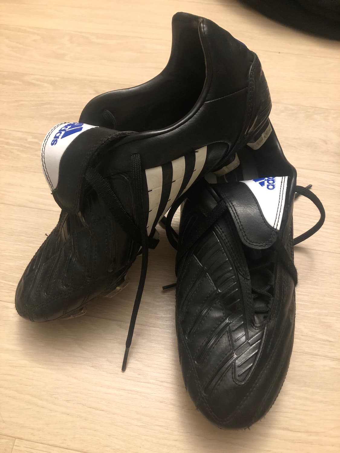 아디다스 predator 앱솔리온 구버전 (SPG753001) 상품이미지1