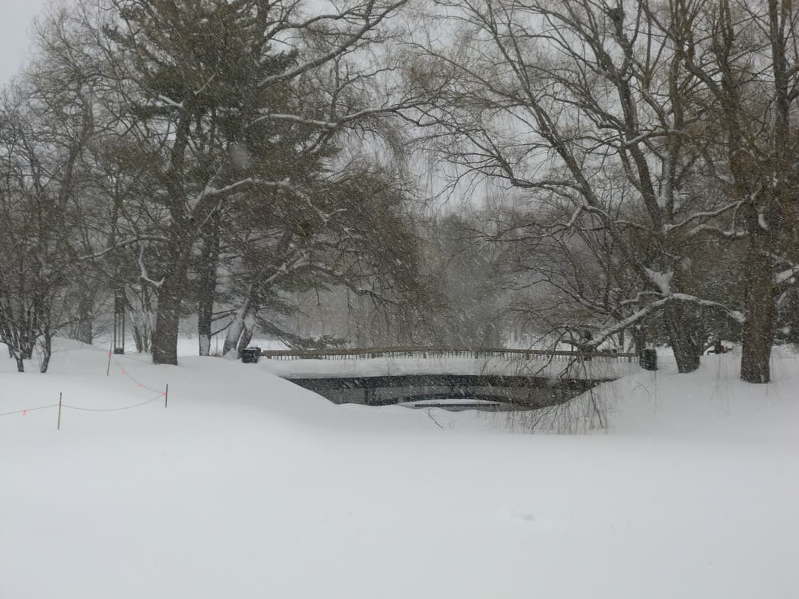 필름감성 빈티지 디카 카시오 엑슬림 ex-z330 작례o 상품이미지5