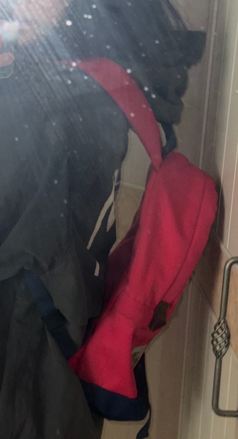 노스페이스 핑크 백팩 상품이미지2