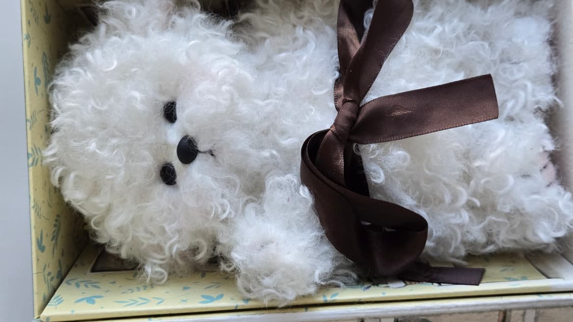 테디테일즈 레나비숑 s 20cm 상품이미지2