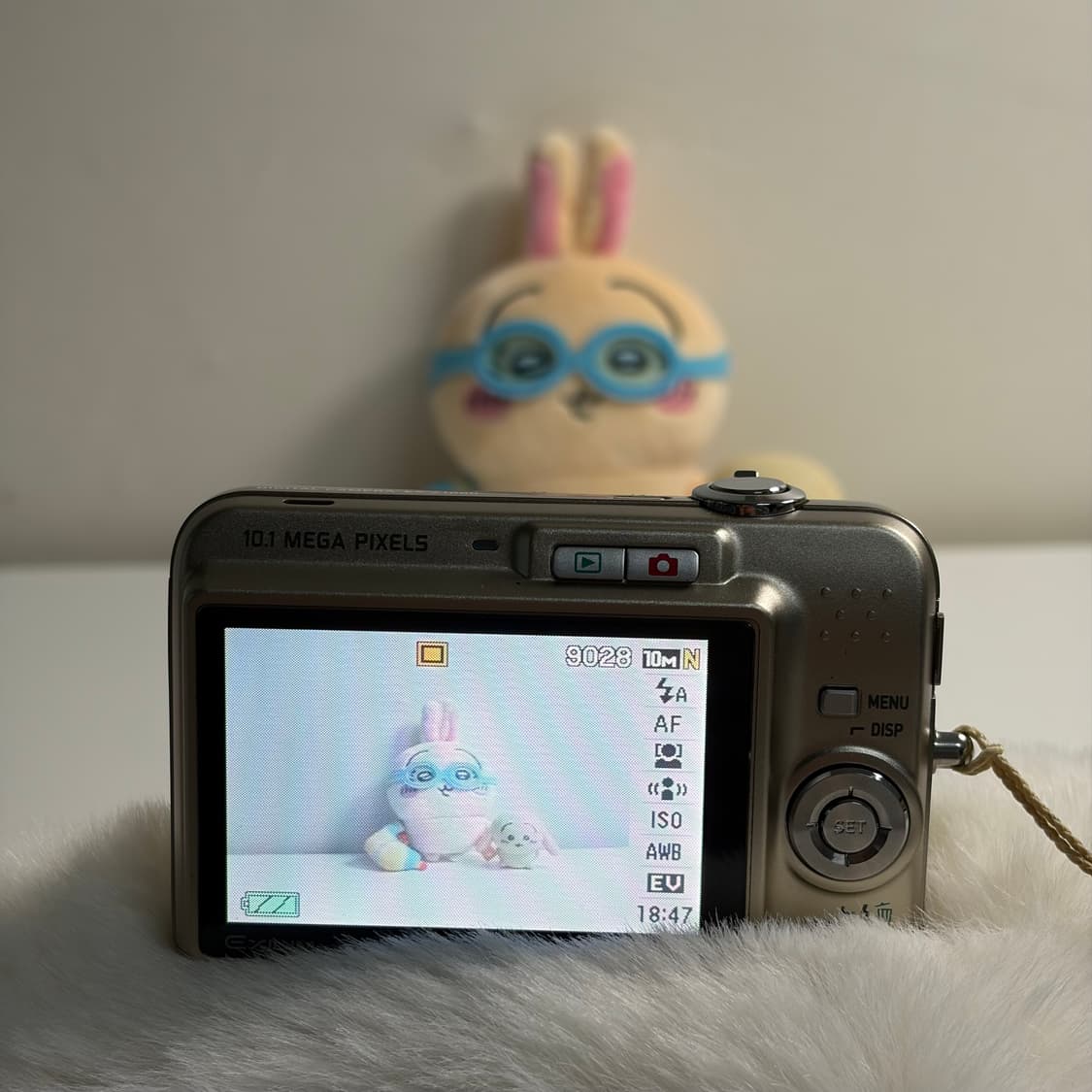 미놀타 디미지x1 상품이미지5