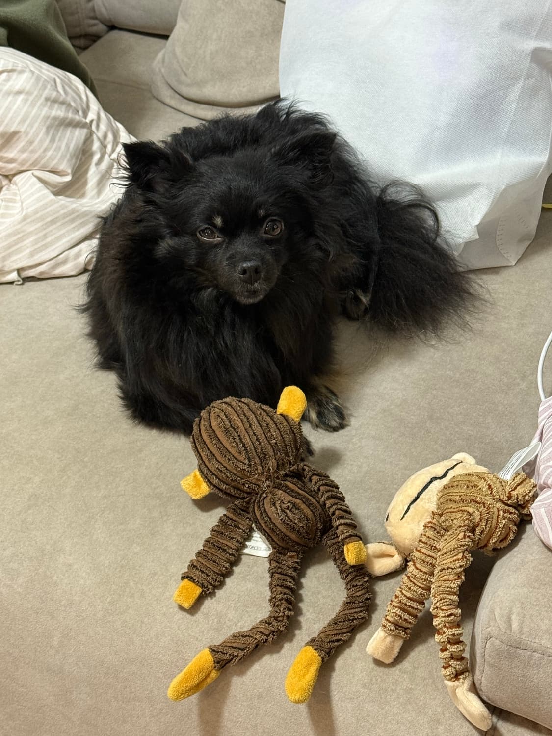 폴로 스카이블루 니트 반집업 상품이미지9