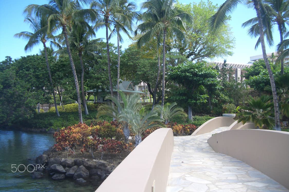 카시오 casio exilim z40 빈티지 디카 한국어지원 상품이미지9