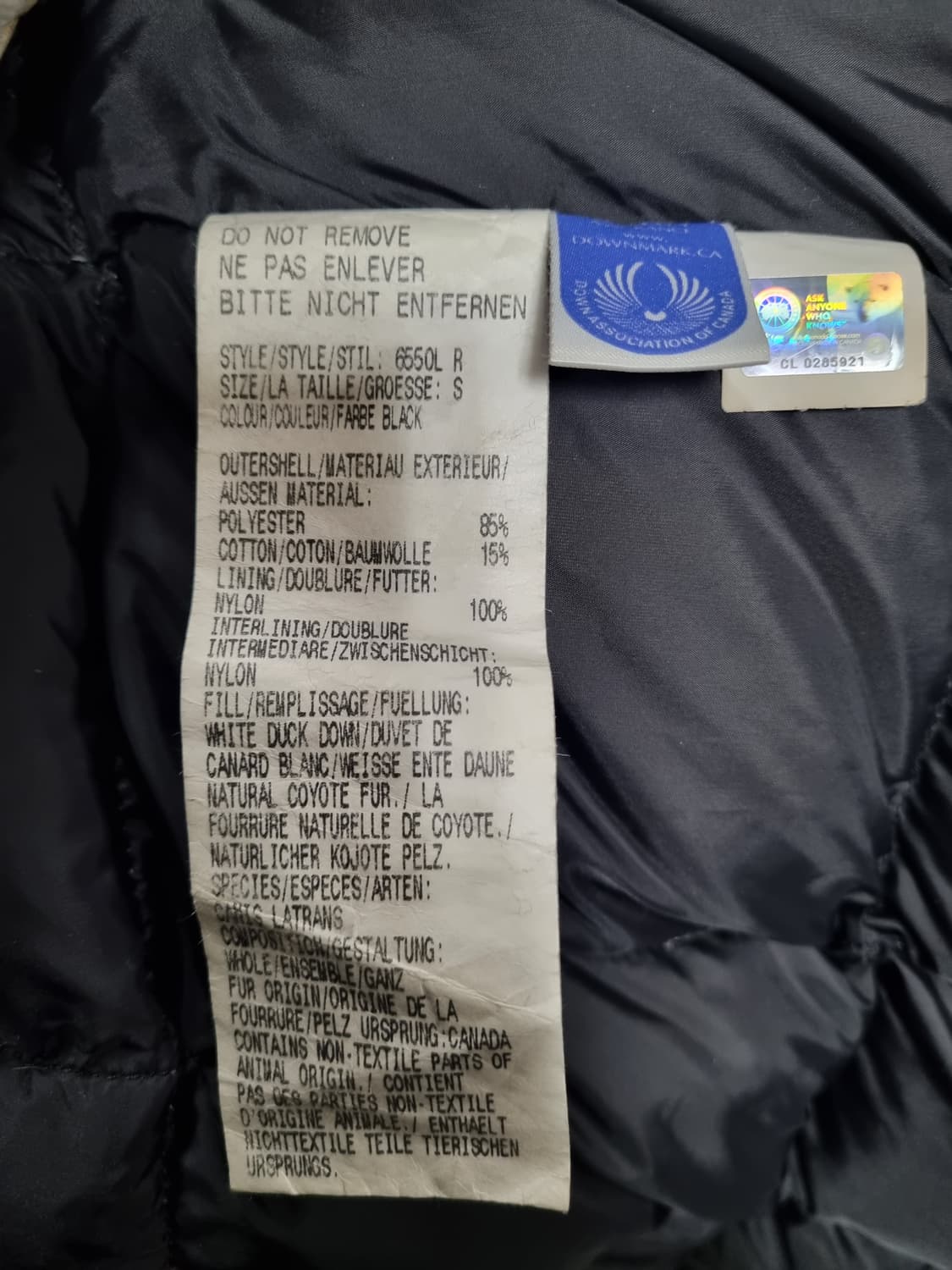 캐나다구스 여성 하프패딩  상품이미지5