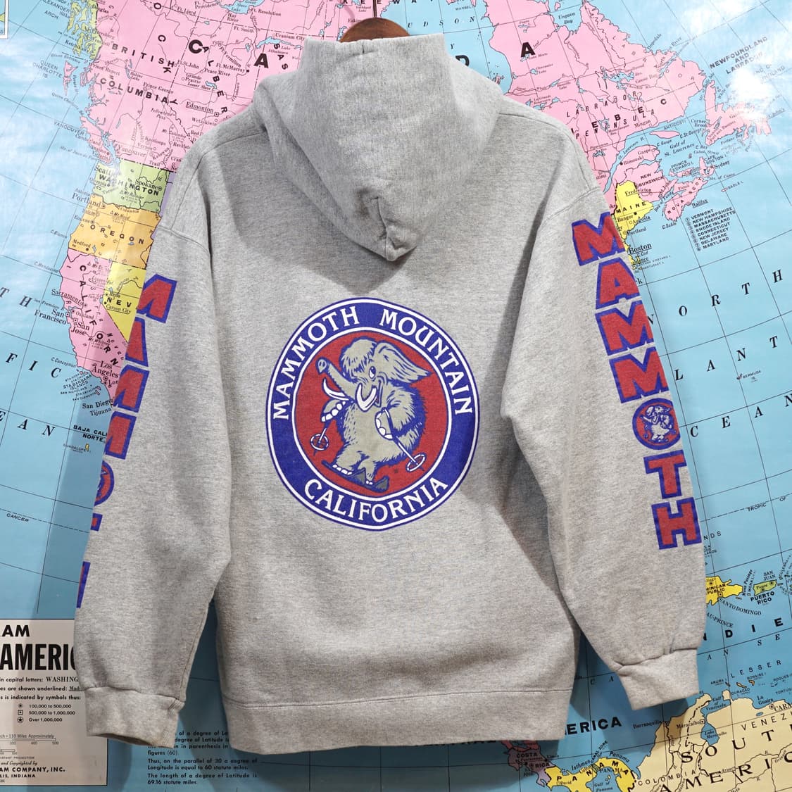 Hanes 매머드 마운틴 빈티지 후드스웻 상품이미지1