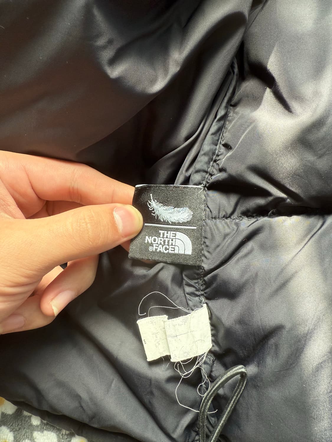 노스페이스 에코 눕시 1996 상품이미지5