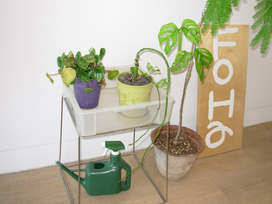 니콘 쿨픽스 L1(작례o) 상품이미지9