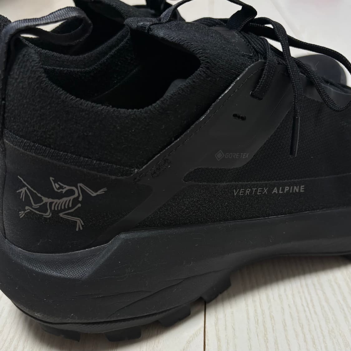 [255] 아크테릭스 버텍스 알파인 GTX 상품이미지3