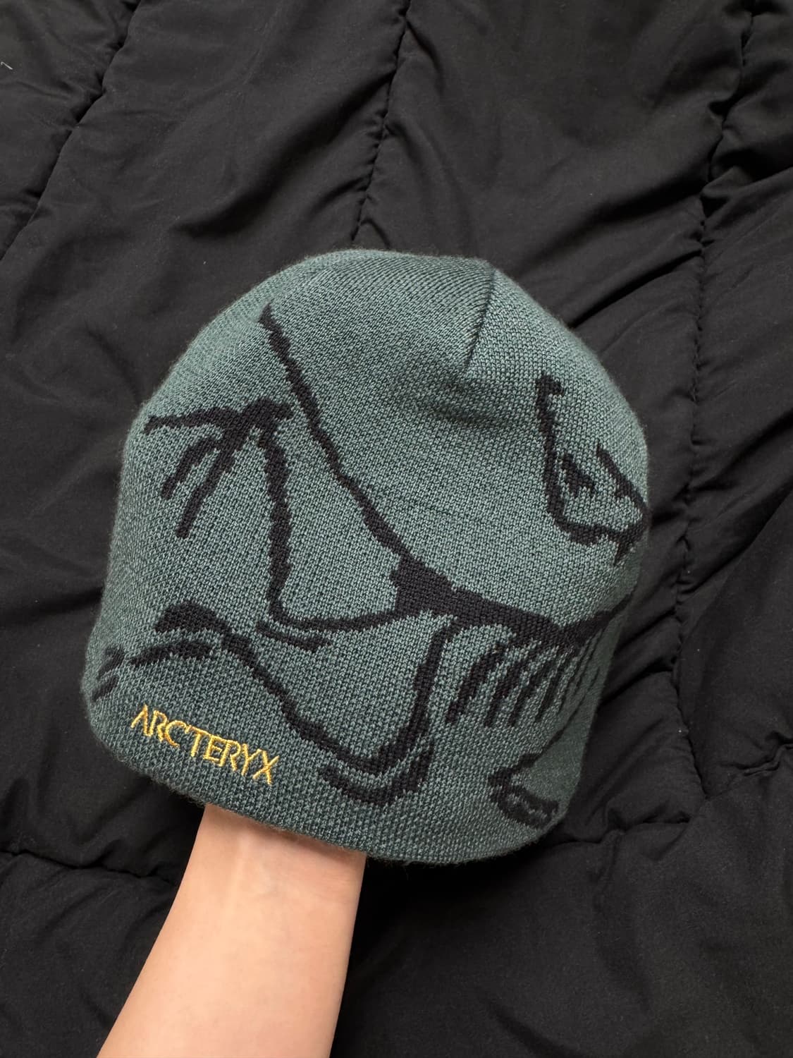 아크테릭스 버드 헤드 토크 다크 매직 상품이미지9