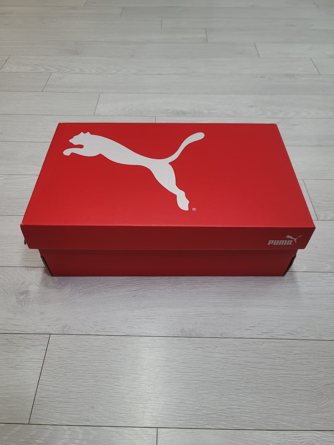 (260)푸마 풋살화 퓨처 7 플레이 TT[대전 직거래도 가능] 상품이미지2