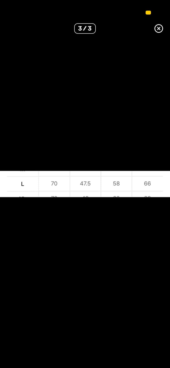 Golden goose 골든구스 스웨트셔츠L 상품이미지3