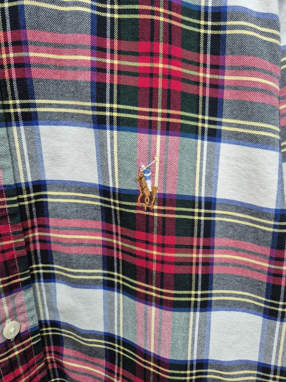 폴로 체크셔츠  상품이미지2