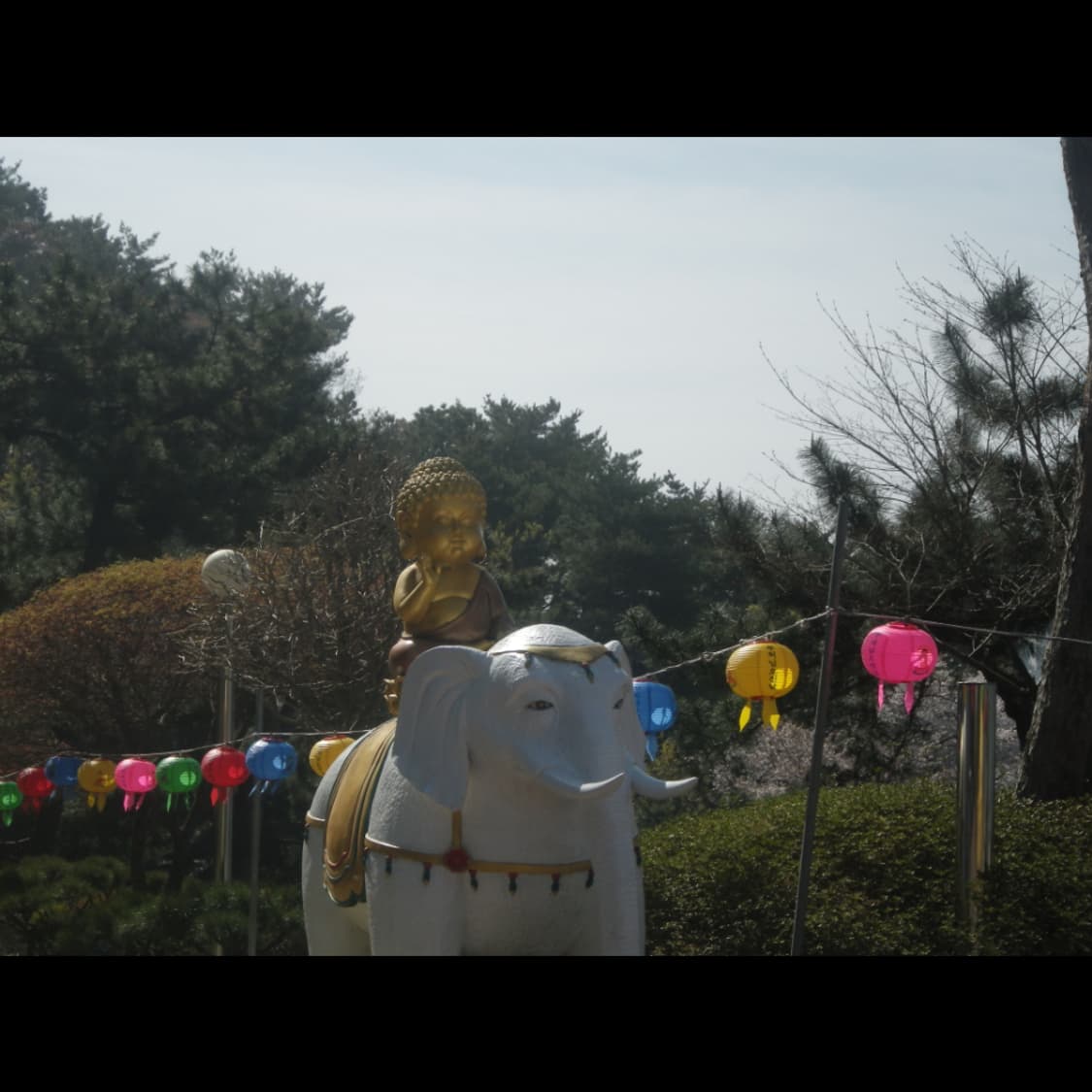 작례⭕️ 펜탁스 WG-10  상품이미지8