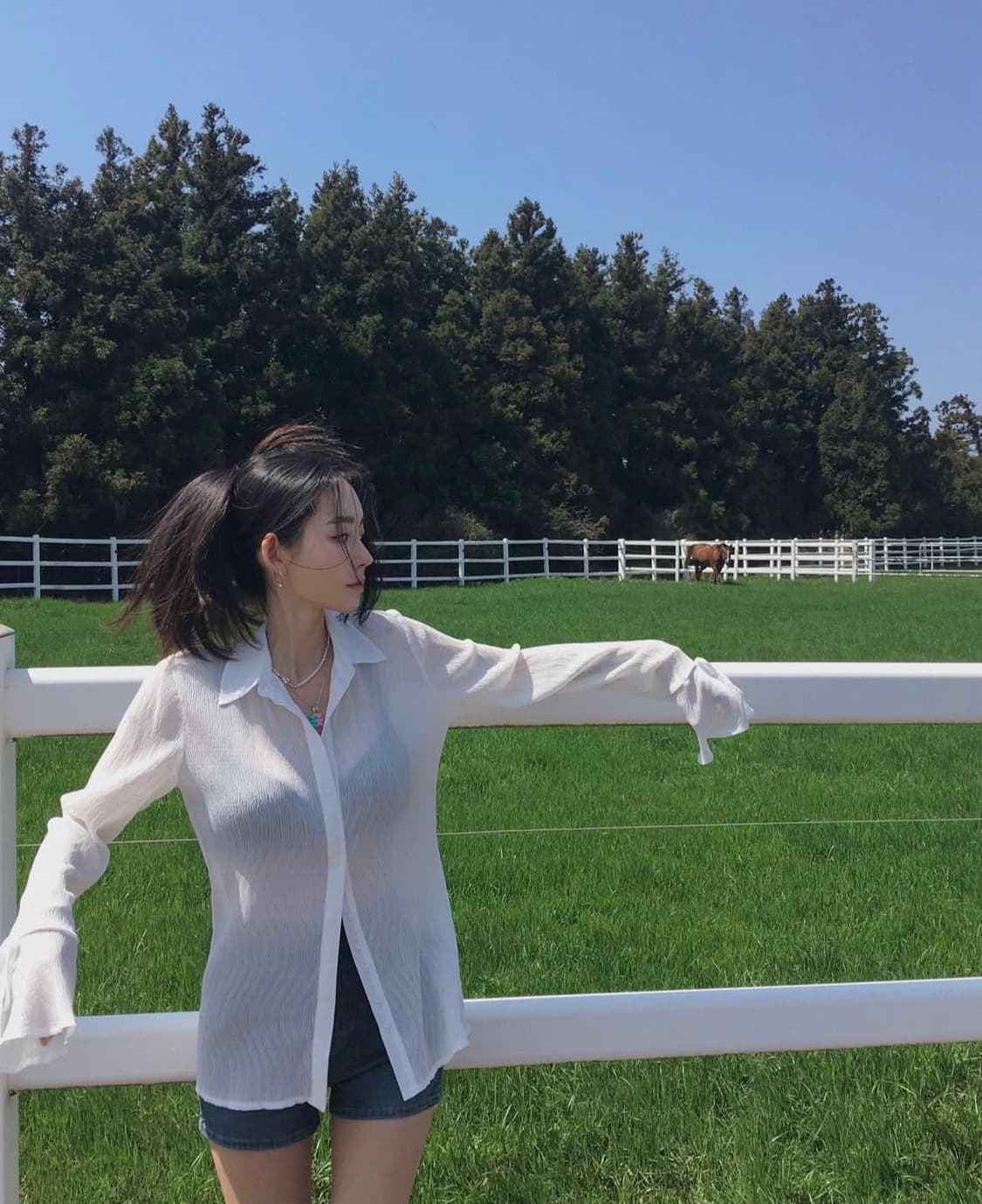 [새상품]페일제이드 스완 블라우스 화이트 프릴 블라우스 상품이미지2