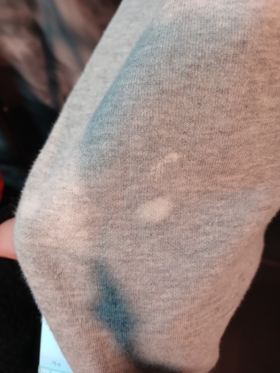 베어비어 맨투맨 상품이미지5