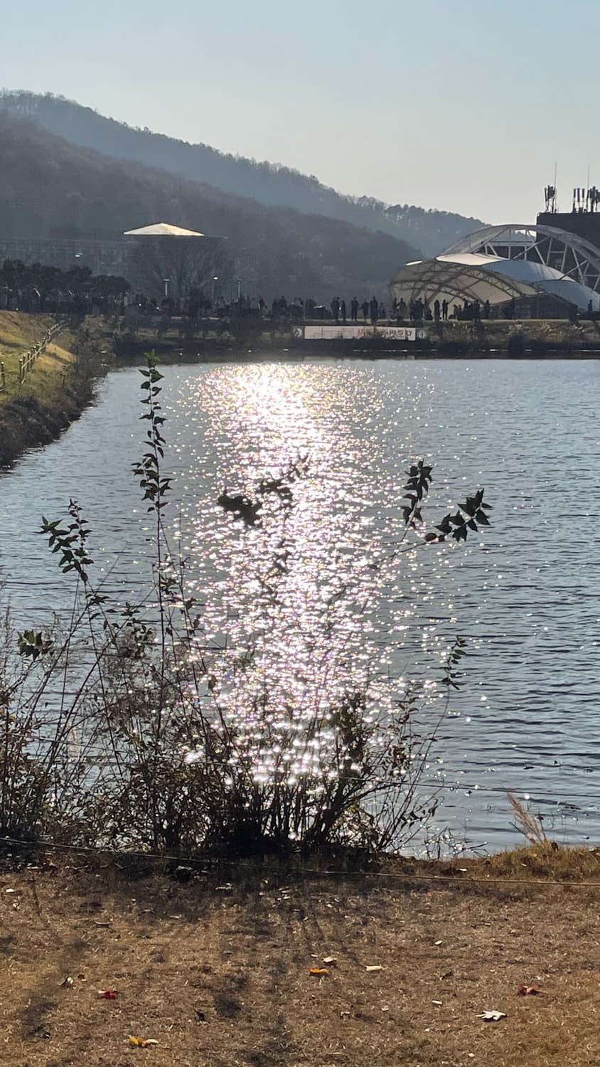 리코r10 )작례o 색감보정❌빈티지카메라 상품이미지4