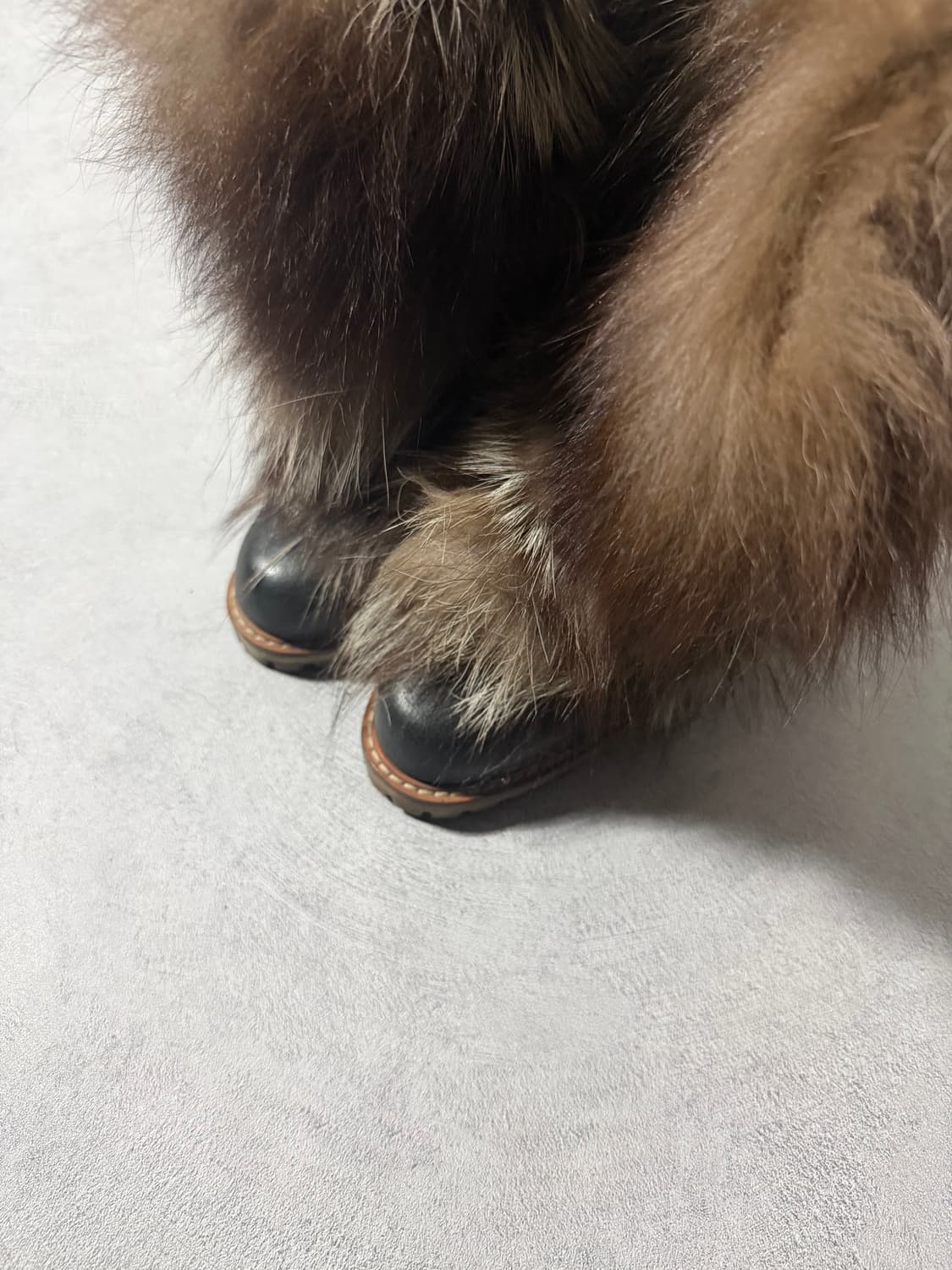 Dolce & Gabbana Fur Heel Boots 상품이미지5