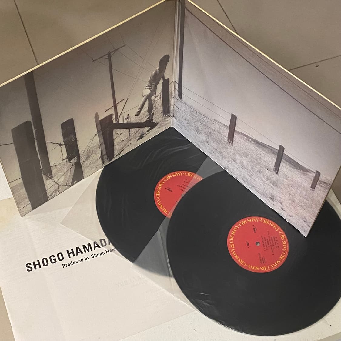 (LP-일본반) Shōgo Hamada - J.Boy (2LP) 상품이미지5