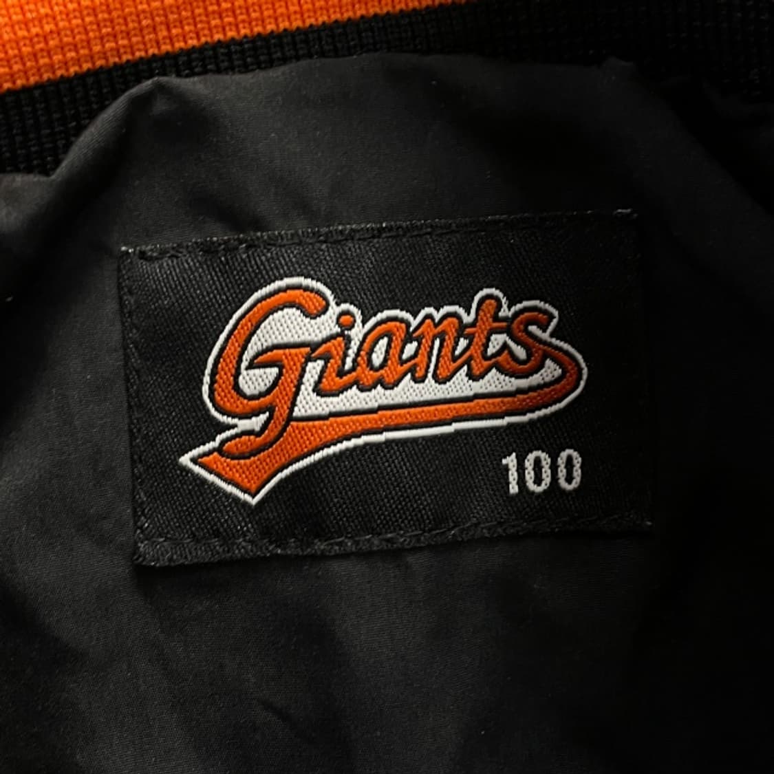 100 롯데자이언츠 아노락  상품이미지3
