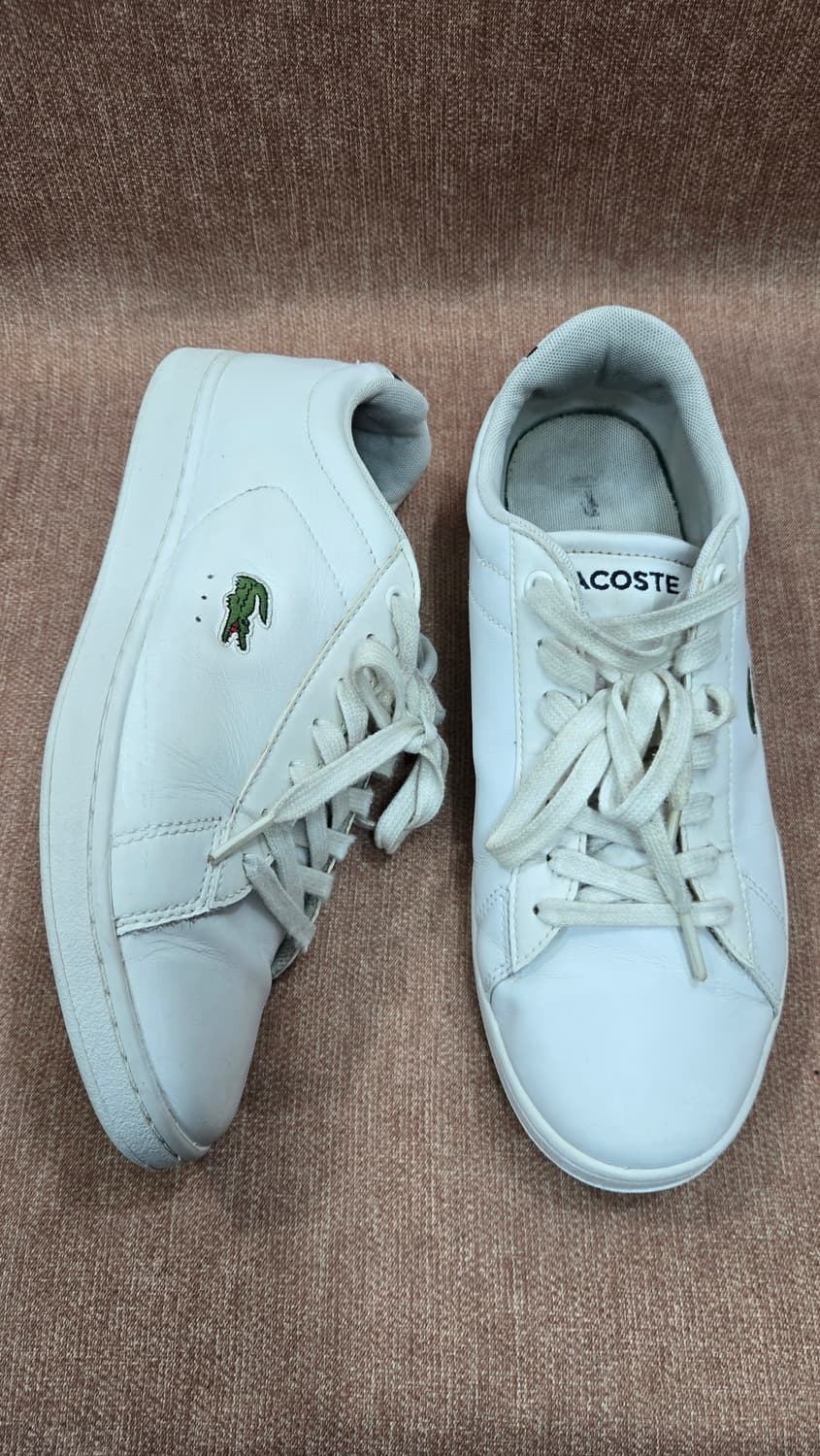 라코스테 260mm-  카나비 에보 318 시그널 슈즈   상품이미지1