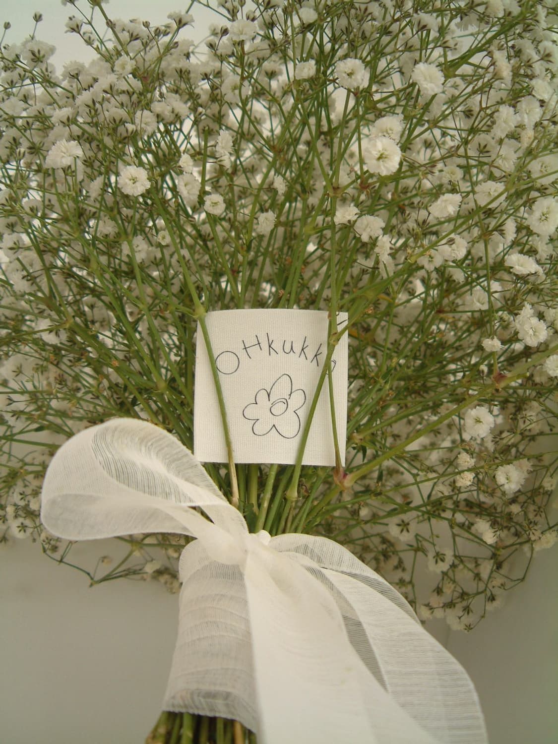 파인픽스 4700z 다음버전 4800z! 상품이미지5