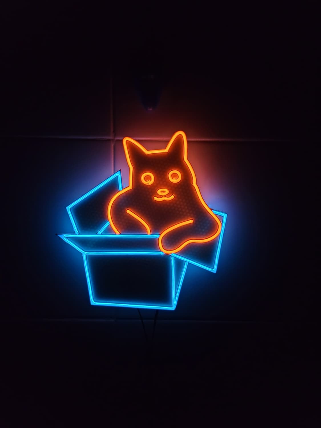 고양이 박스 상자 네온사인 led 램프 무드등 조명 상품이미지2