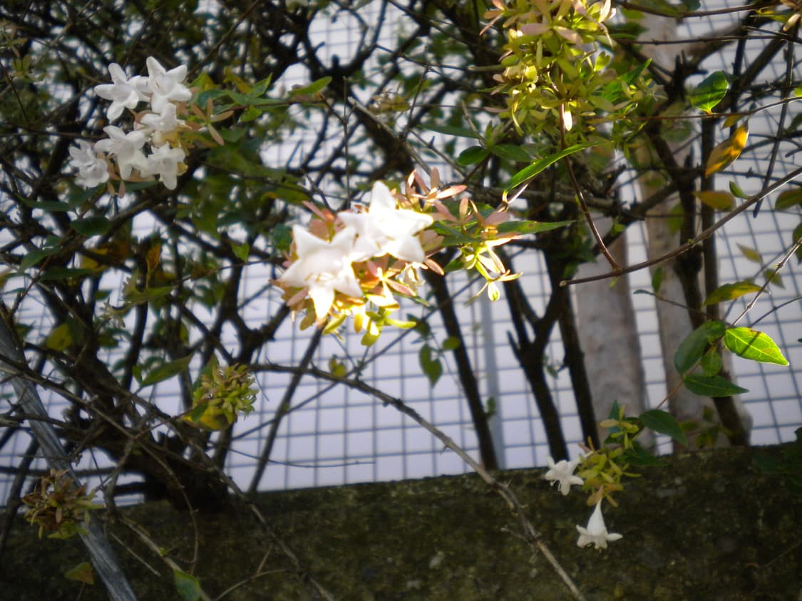 풀구성) Nikon 니콘 쿨픽스 s230 빈티지 디카 실버 디카 상품이미지8