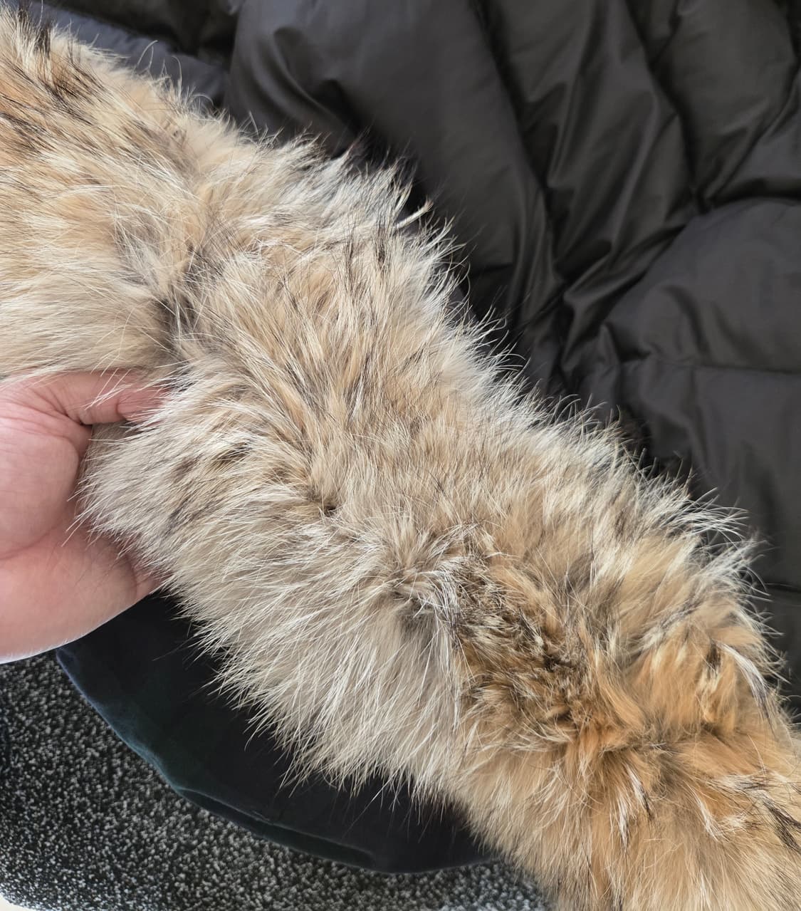 울리치 아크틱 버드클로스 블랙와치 타탄체크 상품이미지6