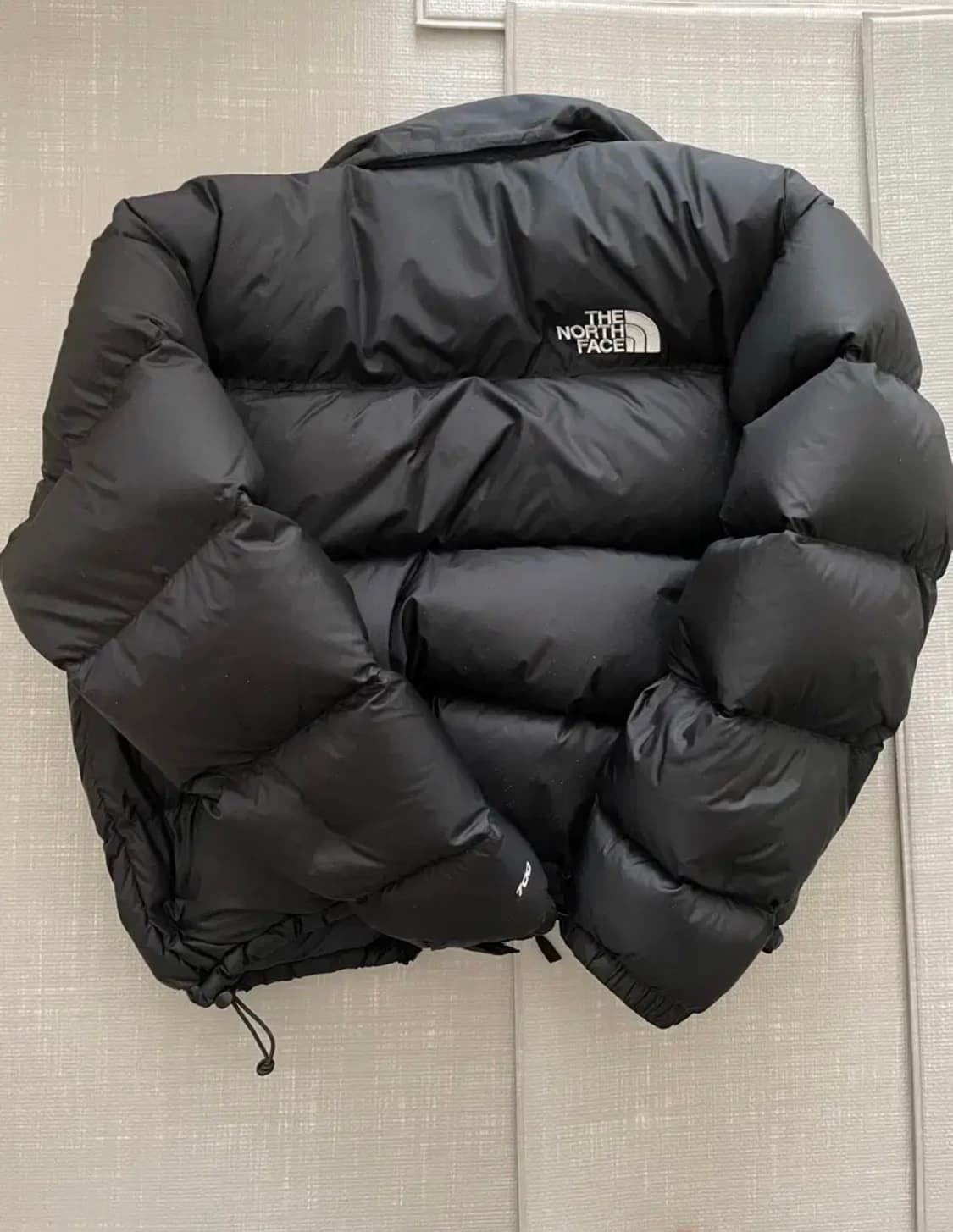 노스페이스 1996 레트로 눕시 해외판 L 상품이미지2