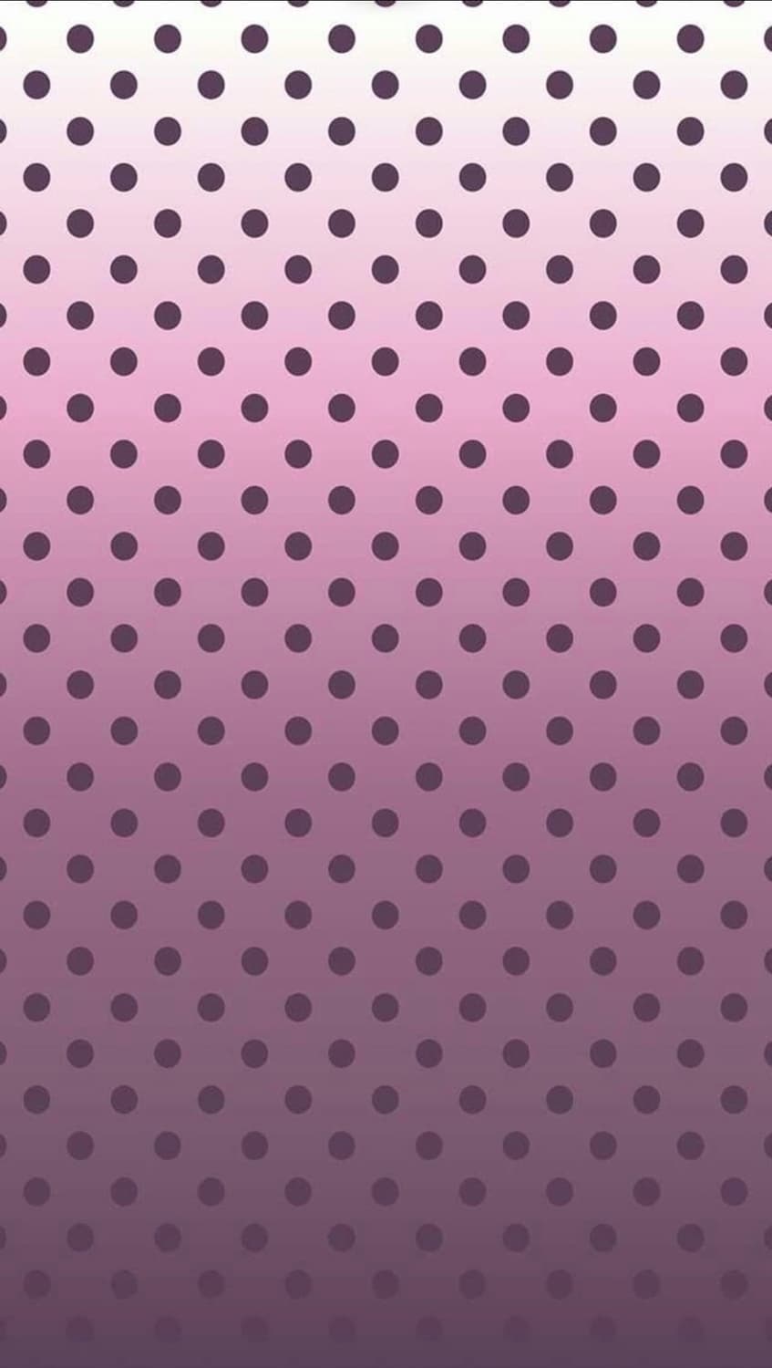 결제창 상품이미지1