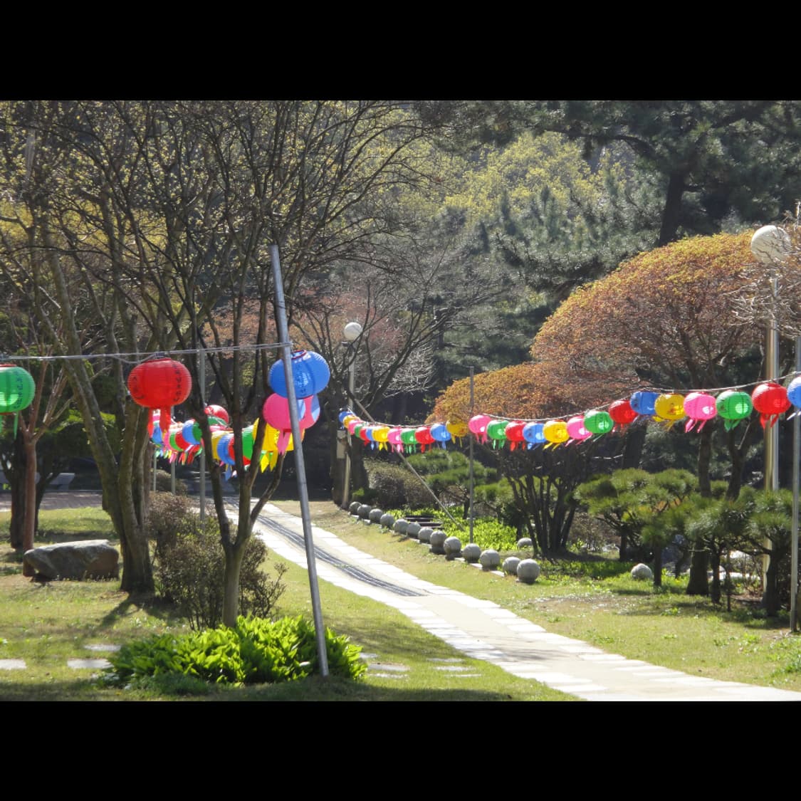 작례⭕️ 소니 사이버샷 DSC-TX5 상품이미지7