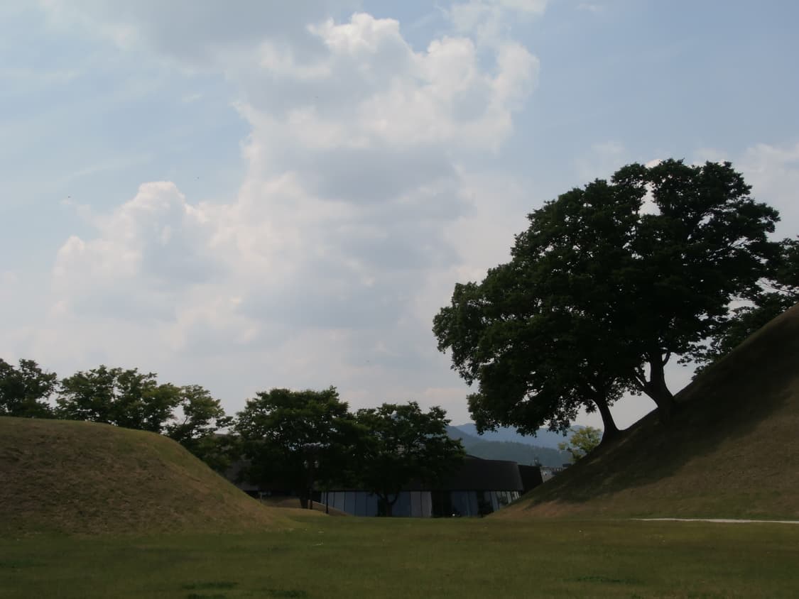 올림푸스 VR-330 디카//작례O 상품이미지3