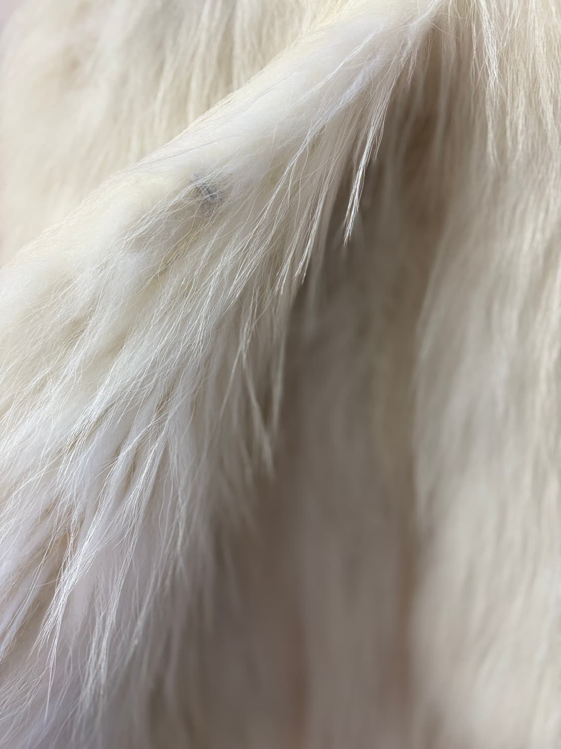 화이트폭스퍼 자켓 새상품 상품이미지3